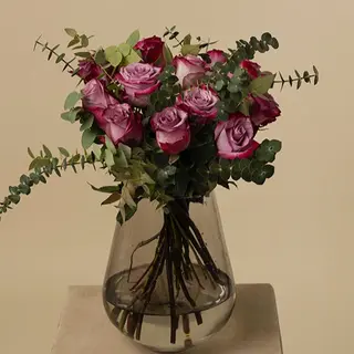 12 rosas Deep purple con eucalipto 