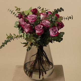 12 rosas Deep purple con eucalipto 