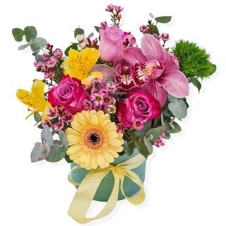 Cutie catifea cu trandafiri orhidee