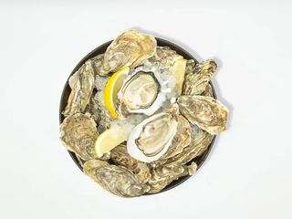 GL OYSRI Premium №2