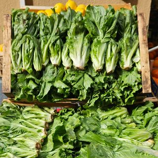 scarola 5 mazzi (PROMO) 