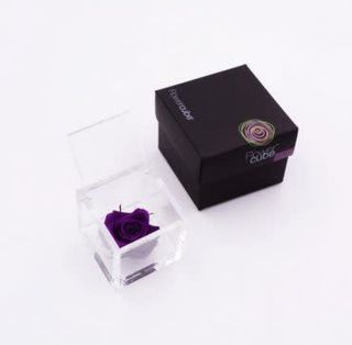 Rosa stabilizzata viola M