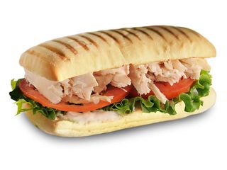 Панини куриный