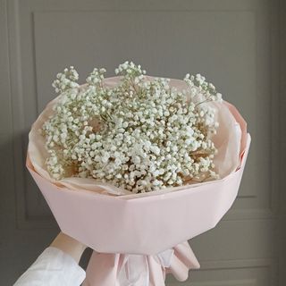 Гіпсофіла 5 гілок 