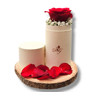 Soul tube colore ecru - regala emozioni