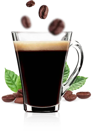 L'Americano 
