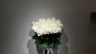 თეთრი ჰოლანდიური ვარდების თაიგული