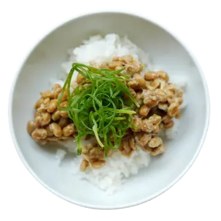NATTO