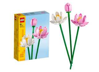 Lotus - 40647