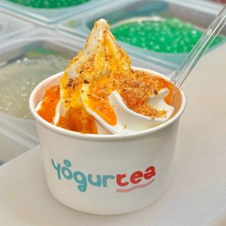 Frozen Yogurt (Large)