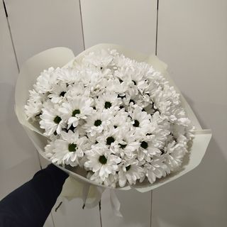 15 галузок білої хризантеми (ромашка) 