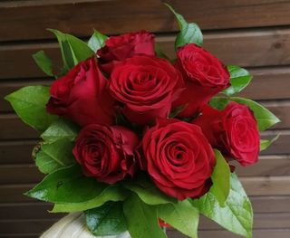 Buchet 7 trandafiri roșii 