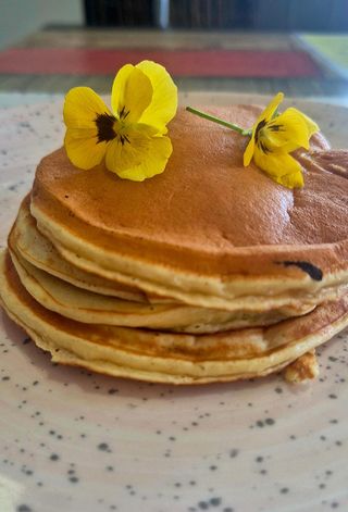 Tortitas solas (3 uds.)