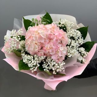 1 hortensia rosa 