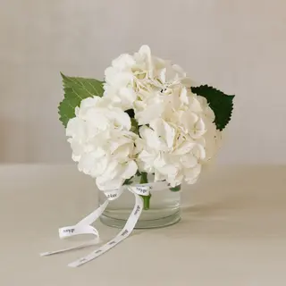 Jarrón de hortensias blancas