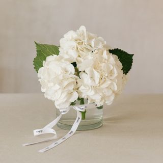 Jarrón de hortensias blancas