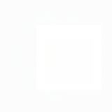 121. Пържен ориз със зеленчуци и яйца (700г)