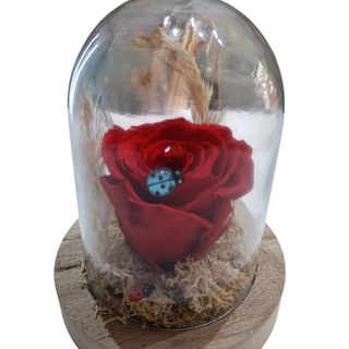 Cúpula pequeña roja