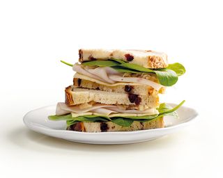 Bloomer Pavo Arándanos