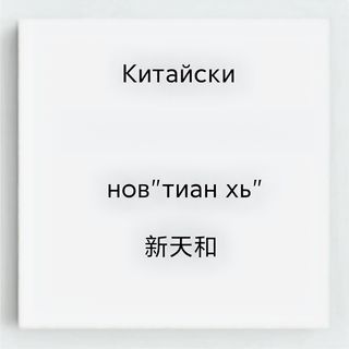 103. Тоуфу с бамбукови стръкчета и черни гъби	500гр.