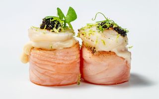 G2 - Jo hot capesante