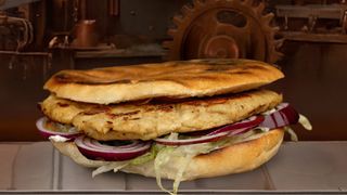 Pljeska chicken special