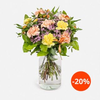 Maceta Terracotta Premium