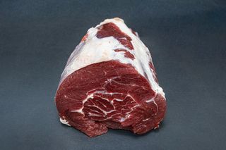 Campanella bovino adulto