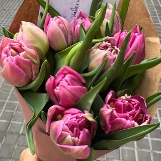 10 tulipanes rosas