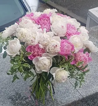 Buchet 15 bujori