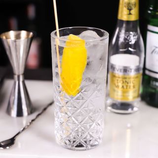 Gin Tonic