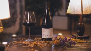 Saperavi Qvevri - Kardanakhi 1888