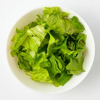 Zelena salata