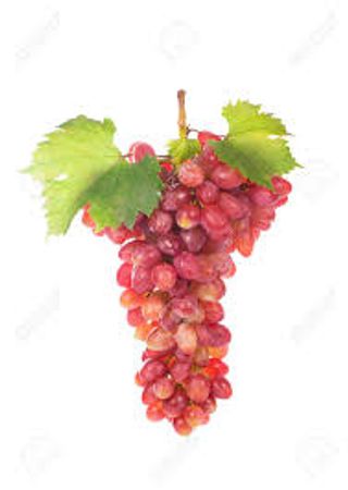 Rosato Da Uve Dolcetto Vivace 2023 12,0% Vol.