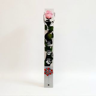 Una Rosa Rosa Preservada