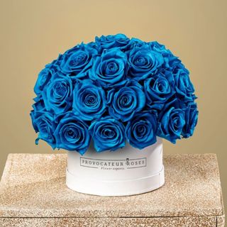 ocean blue luxury dial