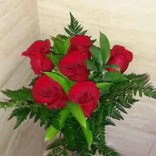 MEDIA DOCENA DE ROSAS ROJAS