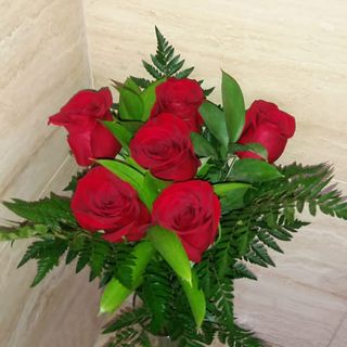 MEDIA DOCENA DE ROSAS ROJAS