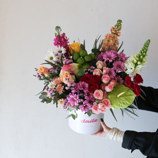 ეს გაზაფხული მე მოვიყვანე, რაკი შენ გსურდა