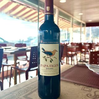 Papa Figos T