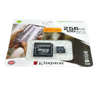 Pen Drive /chiavetta Usb 256 Gb