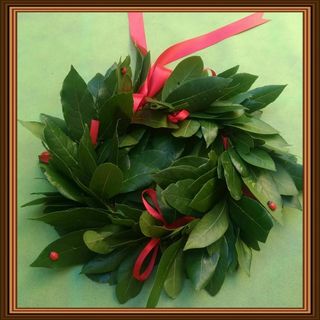 coroncina laurea classica