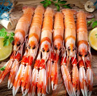 CIGALA COSTA L (250 G.)