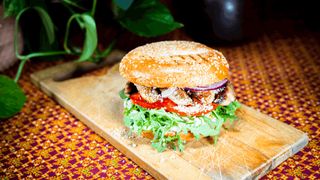 Bajgiel Piękny Cezar