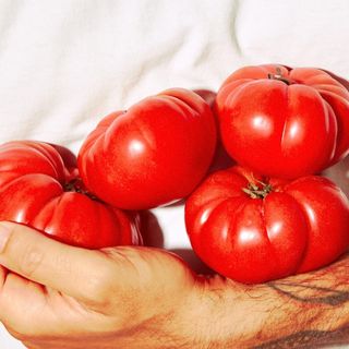 Pomodoro