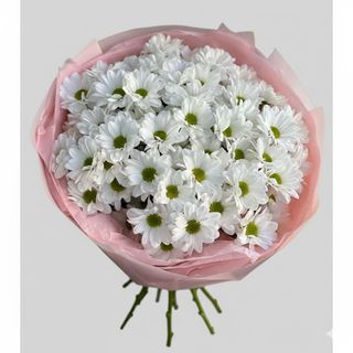 15 ромашкоподібних хризантем у пакуванні