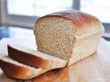Whole Wheat Bread