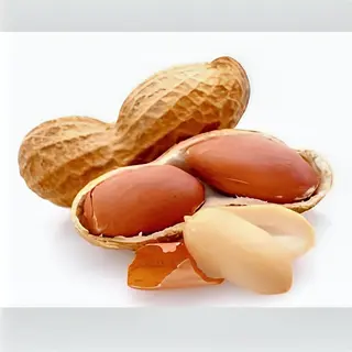 Peanuts