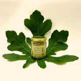 Feuilles De Figuiers En Poudre 100% Naturelle 21cl