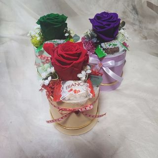 Trajna ruža+rafaelo 13